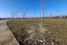 Photo of Мега-паркот во Карпош: парк на хартија, пустина во реалноста