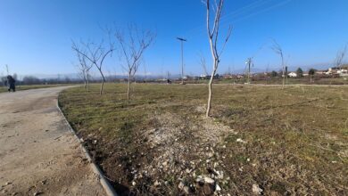 Photo of Мега-паркот во Карпош: парк на хартија, пустина во реалноста
