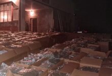 Photo of Пет тони марихуана шверцувани од фабрика за медицински канабис од Македонија во Србија, организаторот на групата е во бегство