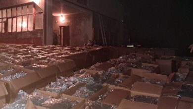 Photo of Пет тони марихуана шверцувани од фабрика за медицински канабис од Македонија во Србија, организаторот на групата е во бегство