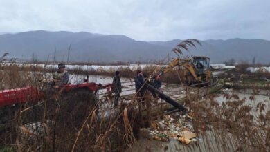 Photo of (Видео) Невремето го зафати југоистокот: излеани реки, уништени ниви и угинати животни