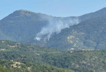 Photo of Пожар на Скопска Црна Гора
