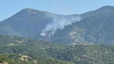 Photo of Пожар на Скопска Црна Гора