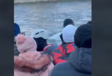 Photo of Опасно: Спасувачите едвај го извадија од водите на Вардар во Скопје