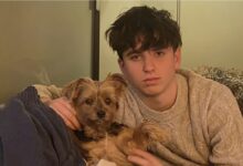 Photo of И испратил порака на мајка му во која пишувало „Среќна Нова Година, мамо“, а сега таа не знае дали е жив!