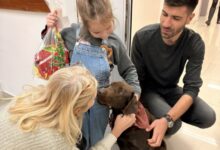 Photo of Кучето Роџер ќе биде вклучено во терапевтскиот процес на пациентите на Клиниката за психијатрија