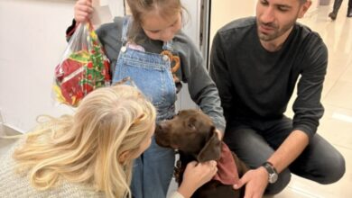 Photo of Кучето Роџер ќе биде вклучено во терапевтскиот процес на пациентите на Клиниката за психијатрија