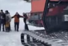 Photo of На Шар Планина диви ратраци ги загрозиле животите на ренџерите 