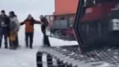 Photo of На Шар Планина диви ратраци ги загрозиле животите на ренџерите 