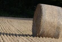 Photo of Маскирани лица запалиле бали со сено во Дебрца