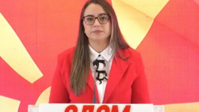 Photo of (ВИДЕО) Цветановски: САД гледаат со кого Мицкоски и Стоилковиќ се „стратешки партнери“ со „Ноќните волци“ на Путин