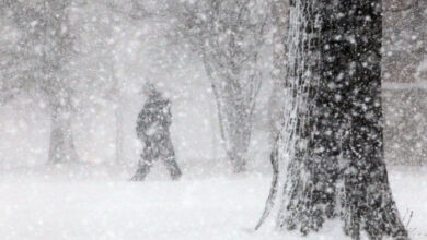 Photo of Циклон ја зафаќа Македонија: Обилни врнежи од дожд и грмежи, на планините снег