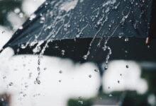 Photo of Променливо облачно со дожд и снег на планините