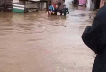 Photo of (ВИДЕО) Евакуација во Кичево, активисти на Црвен крст изнесуваат маж низ надојдената вода