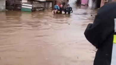 Photo of (ВИДЕО) Евакуација во Кичево, активисти на Црвен крст изнесуваат маж низ надојдената вода