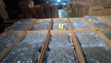 Photo of Марихуаната била од Струмица, а натоварена во Свети Николе . Во Србија влегла преку Табановце . Осомничени шестмина за шверцот
