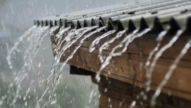 Photo of Најмногу дожд во Гевгелија, Крушево и во Битола