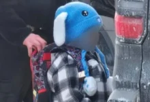 Photo of Суд нареди ослободување на петгодишно дете и неговиот татко приведени во рација на имигрантските власти во Минесота