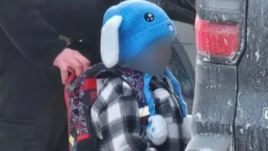 Photo of Суд нареди ослободување на петгодишно дете и неговиот татко приведени во рација на имигрантските власти во Минесота