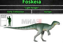 Photo of Мал диносаурус пронајден во Шпанија, научно „го пренапишува“ еволутивното дрво