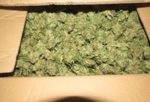 Photo of Координирана полициска акција на повеќе локации во Скопје и во Струмица за опојна дрога