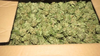 Photo of Координирана полициска акција на повеќе локации во Скопје и во Струмица за опојна дрога