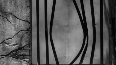 Photo of Млад радовишанец избегал од затвор, пронајден и спроведен во „Затвор – Струмица“ за доиздржување на казната