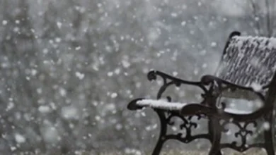 Photo of Променливо време со врнежи од дожд, на планините снег