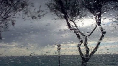 Photo of УХМР: Утре променливо облачно со дожд, на повисоките места снег