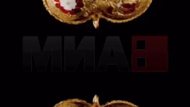 Photo of Британскиот музеј купи неодамна пронајден приврзок на Хенри Осми за четири милиони евра