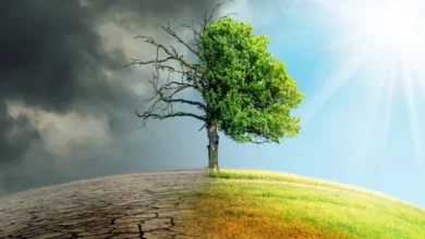 Photo of Бела куќа: Трамп утре ќе го укине Законот за борба против климатските промени