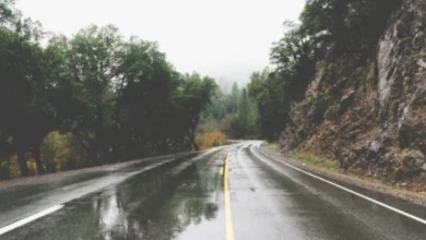 Photo of Сообраќајот на патиштата се одвива непречено во зимски услови, по наместа влажни коловози