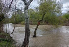 Photo of ЦУК: Евакуирани 180 лица од поплавени куќи во Кичево, во Балиндол заглавени две деца со мајка