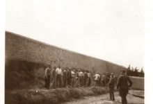 Photo of На продажба на „eBay“ ставени наводно необјавени фотографии од егзекуција на 200 Грци во Втората светска војна