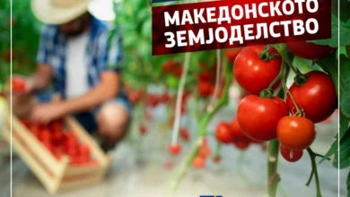 Photo of Се работи на документација за акредитирање нови ИПАРД мерки, “чистите” проекти ќе ги поддржи државата