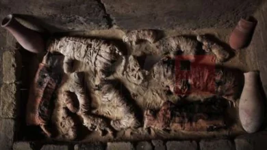 Photo of Истражување: Научници од Велика Британија ја открија тајната за мирисот на египетските мумии