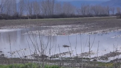 Photo of Земјоделски површини во дел од Пелагонија под вода