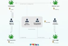 Photo of Српски врски и во други македонски компании за канабис