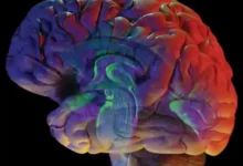 Photo of Не се сеќавам дали во тоа време беше потребна согласност од семејството вели Дума за ДВ