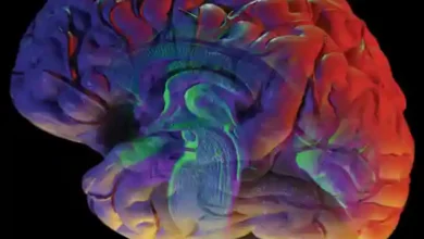 Photo of Не се сеќавам дали во тоа време беше потребна согласност од семејството вели Дума за ДВ