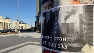 Photo of Еко-свест“ со акција: Рисови и волци „бараат“ станови низ Скопје