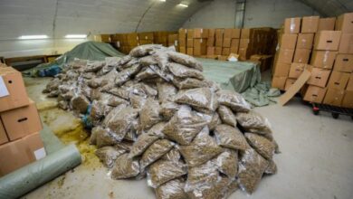 Photo of Притвор од 48 часа за двајца Македонци осомничени за шверцот на 5-те тона марихуана во Србија