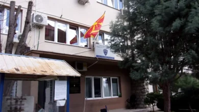 Photo of Две пцовисани ретки птици мршојадци се пронајдени во Кавадаречко, дадени се на обдукција