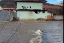 Photo of (ВИДЕО) Сарај поплавен, со булдожери се чистат каналите