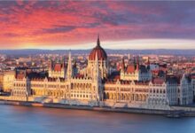 Photo of Владиниот авион најмногу летал за Будимпешта, најчесто го користеле министерот Николоски и претседателката Сиљановска-Давкова