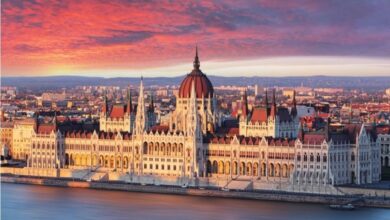 Photo of Владиниот авион најмногу летал за Будимпешта, најчесто го користеле министерот Николоски и претседателката Сиљановска-Давкова