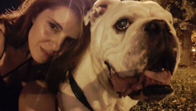 Photo of Сигурен или (стресен и контролиран) град. Или „за кучето кое во други околности ќе го убиеја