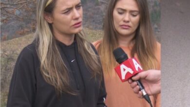 Photo of „Предизвикаа паника кај кравите, па ме уапсија мене“, вели Јулијана, која ги напасувала кравите кои ги бркаше АХВ со МВР