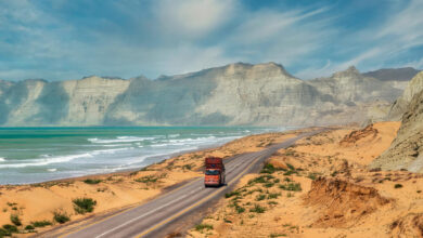 Photo of Најмалку 195 жртви во координираните напади и воени операции во пакистански Белуџистан