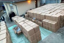 Photo of Фирмата во Скопје, на уапсениот Србин за 5 тони марихуана, работела со загуби, а одгледувала канабис за медицински цели